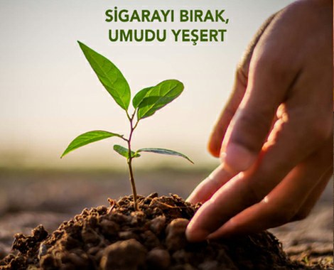 Dr. Elbeyli, ‘Akciğer kanseri farkındalık ayı’