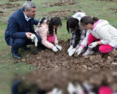 Reşadiye’de 21 Mart Orman Haftası’nda fidan dikildi