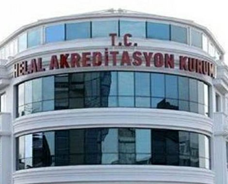 Yaşlı hakları ulusal eylem planı açıklanıyor