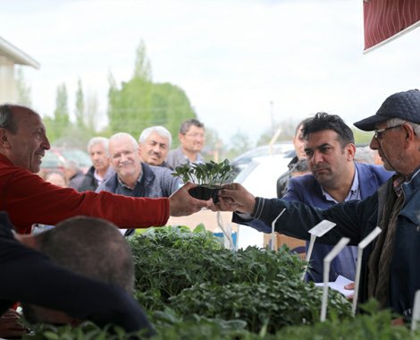 TOGÜ’de üretilen fideler satışa sunuldu