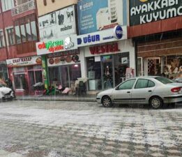 Yeşilyurt’ta yağan dolu her tarafı beyaza çevirdi
