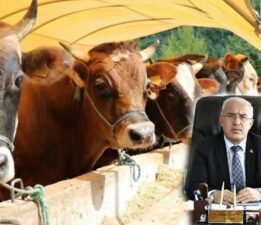 İl Tarım ve Orman Müdürü Şahin, ‘Kurbanlık alırken dikkat!’