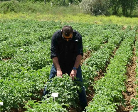 Bedrettin Karan’dan, Yüksek fiyatlara çözüm çalışması