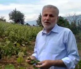 Başkan Koyuncu, ‘Üzüm yaprağı Gökçeli’den alınır’