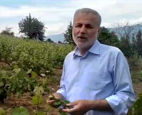 Başkan Koyuncu, ‘Üzüm yaprağı Gökçeli’den alınır’