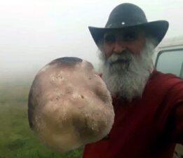 1 kilo 100 gramlık mantar görenleri şaşırttı