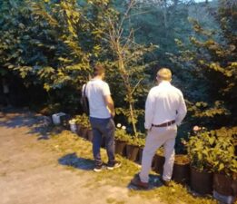 Tokat’ın Niksar İlçesi’nde “Ayı Paniği”