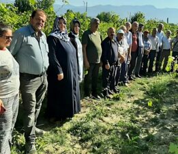 Niksar’ın Ceviz çiftçileri Bursa’ya teknik gezi düzenledi