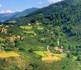 Tokat kavrulurken o belde en serin gününü yaşadı