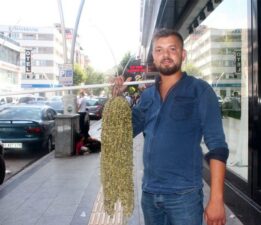 Tokat’ta kilosu 750 tl’den tezgâhlarda satılıyor
