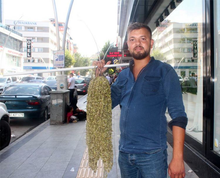 Tokat’ta kilosu 750 tl’den tezgâhlarda satılıyor