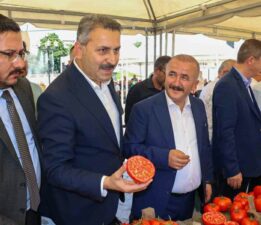 Tokat’ta birinci olmak için sebze ve meyveler yarıştı