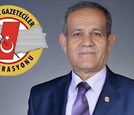 “Gazeteler bir bir kapanıyor”