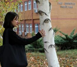 Gözleri olan ağaç tıklama rekoru kırıyor