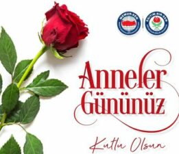 Eğitim Bir-Sen, “Anneler Ağlıyorsa Dünya Gülemez”