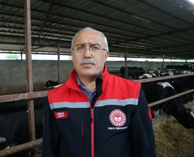 Tokat’ta bayram öncesi 276 bin büyükbaş hayvana şap aşısı