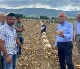 Çiftçi feryat ediyor, Yetkililerden duyan yok!