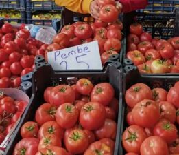 Tokat’ın pembe domatesleri artık pazarda