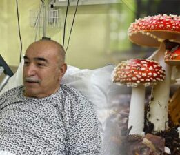Zile’de zehirli mantar hastanelik etti