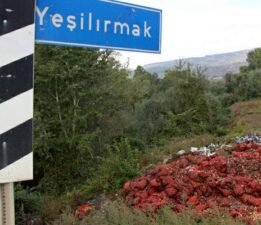 Yeşilırmak Nehri’nin kıyısına çuvallar dolusu soğan ve patlıcan döküldü