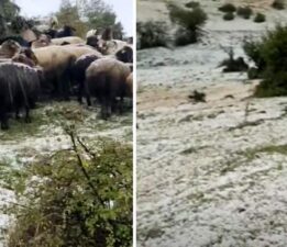 Tokat’ta dolu yağışı yaylayı beyaza bürüdü