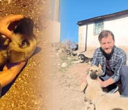 Gazeteci Halit Arslan’nın, Yavru köpeğin hayatını kurtaran madalyalık mücadelesi