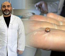Hastalıkları taklit eden bakteri ABD’den sonra Türkiye’de de görüldü