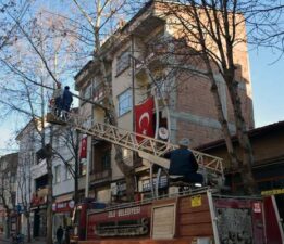 Zile Belediyesi ağaçları bahara hazırlanıyor