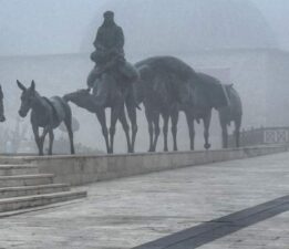 Tokat’ta yoğun sis mistik atmosfer oluşturdu