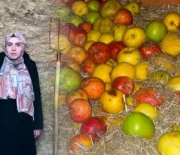 Derin dondurucu yerine samanlığı tercih ediyorlar