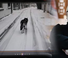 Yapay zekâ teknolojisi 2025’te kaosa neden olabilir