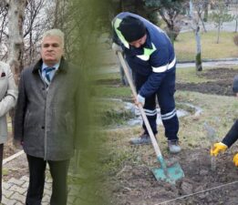 Turhal Belediyesi, parkı lavanta bahçesine dönüştürerek estetik ve ekonomik katkı sağlayacak