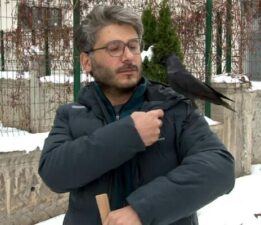 Doktorun karga ile olan dostluğu gülümsetiyor