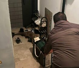 Yolunu kaybeden su samuru apartmana girdi