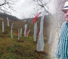 Yeni yılda fındık fiyatlarına bahçesini süsleyerek tepki gösterdi