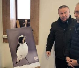 “Zile Kuşları” adlı fotoğraf sergisi açıldı