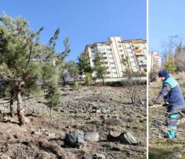 Tokat Belediyesi’nden “Daha Yeşil Bir Tokat” için fidan dikim ve bakım çalışmaları