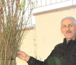 Pazar İlçesi’nde 1000 badem fidanı dağıtıldı