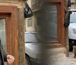 Kedilerin hırsızlık anı izleyenleri gülümsetti