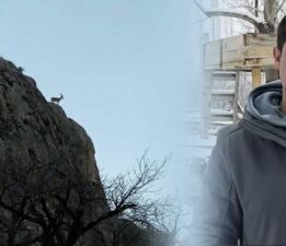 Dağların eşsiz tırmanıcıları sürü halinde görüntülendi
