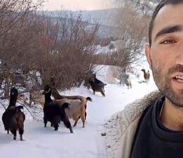 Tokatlı çobanın zorlu kış mesaisi