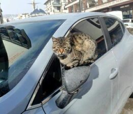 Çekerek’te kartpostallık kar manzaraları oluştu