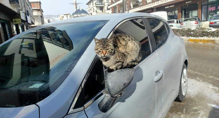 Çekerek’te kartpostallık kar manzaraları oluştu