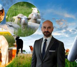 Yapay Zeka, Tarım ve çevre sektörlerinde verim artışına ışık tutuyor