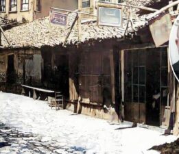 NEREYE BAKSAM NAFTALİN KOKUYOR DÜNYA