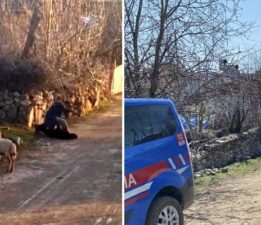 Küçükbaş hayvanlara eziyet eden şahıs gözaltında