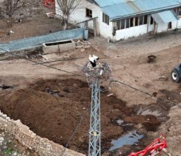 ‘Leylekli köyü’ misafirlerine kavuştu