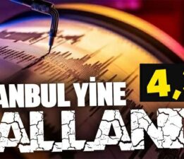 İstanbul’da 4,3 büyüklüğünde deprem, Vatandaşlar sokağa döküldü