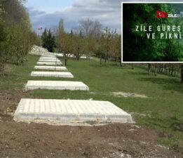 Zile Belediyesi’nden Geleneksel Güreş – Festival ve Piknik Alanı’na yeni dokunuş