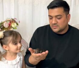 Yaralı sandığı ebabili evinde besledi, daha sonra doğaya bıraktı
